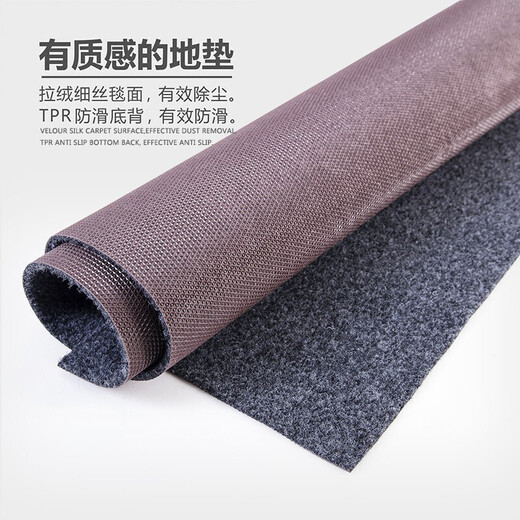 AVIVI home floor mats, door mats, bathroom non-slip mats, water-absorbent and oil-proof kitchen mats, household foot mats 40*60 Money Tree Money Tree 40*60cm