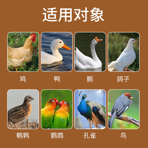 Changmu Danduoduo veterinary egg-producing polypeptide egg-laying spirit stimulates laying chickens, ducks and goose premix feed additives egg-laying treasure water-soluble egg-duoduo 500g*20 bags