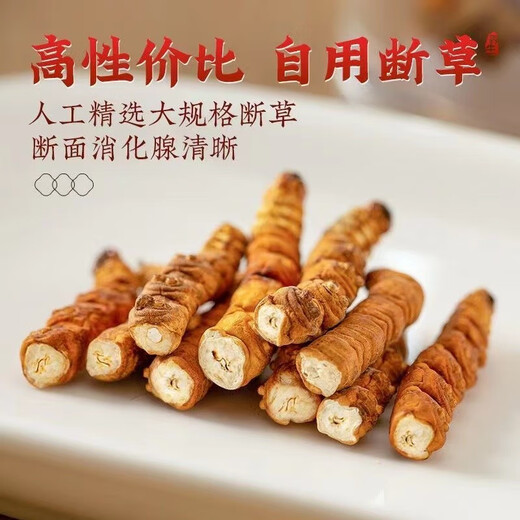 
Luzhangtang authentic Tibetan high-altitude fine cordyceps broken grass cordyceps broken grass Cordyceps self-eating buy 10 grams of 11 grams of 11 grams of buy Duohui Nagqu high-altitude meat festival in Tibet 1 grams of 1 grams of 1 grams of (less careful to shoot)