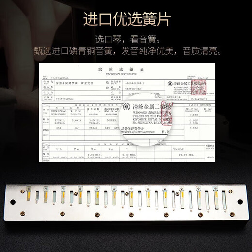 国光进口音簧口琴专业演奏级复音高端重音C调初学入门专业演奏级送礼 28孔黑色重音【高端音质】
