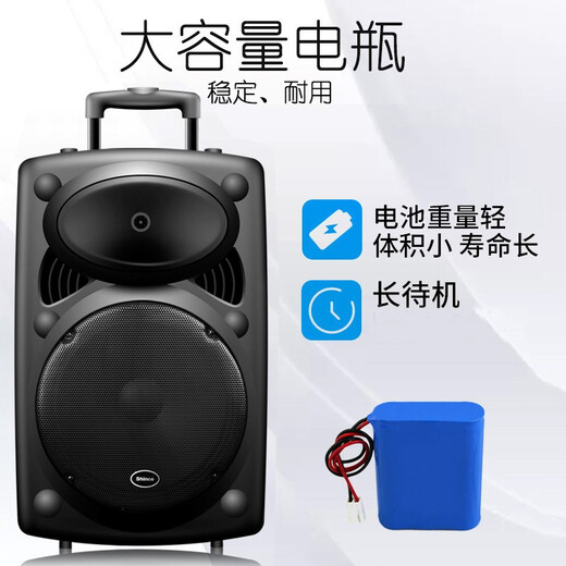 Xinke H318 Square Dance Audio Outdoor Speaker Bluetooth Trolley High Power Large Volume Portable Mobile Performance K Song Dancing Street Stall 15-inch Dual Microphone Version