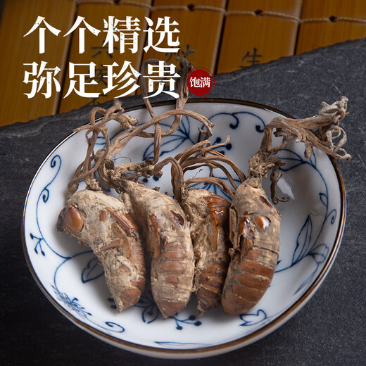 北京同仁堂原料中药饮片精选金蝉花中药材2023新货大虫草知了蝉花孢子粉草非500g克 金蝉花500g新货