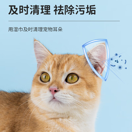 Keep a Pet (YOUNGER PET) Pet Ear Finger Cots for Dogs and Cats Cleaning and Removal Wipes for Cleaning Cats Ear Canal Ear Mites Ear Cleansing Liquid Pet Finger Cot Type Wet Wipes 55 Pieces