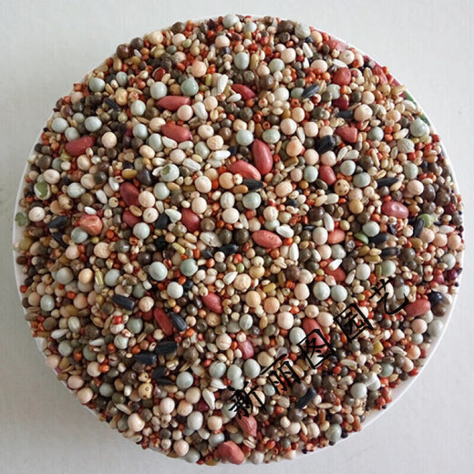 Is pigeon feed corn, sorghum, wheat, peas, pigeon food nutrition, pigeon food, bird food, pigeon food, letter for young pigeons, peas, 5 Jin, Jin is equal to 0.5 kg