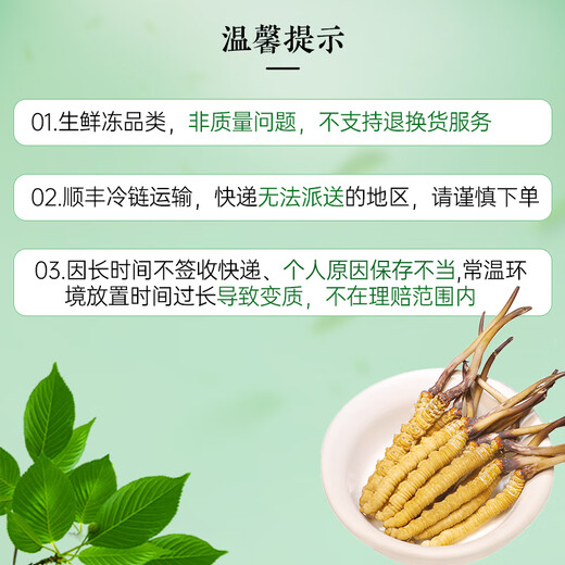 Zangxitang [First fresh grass in 2025] Fresh Cordyceps sinensis, Fresh Cordyceps sinensis, nourishing nutritional supplements, 0.6g/root, 50 roots