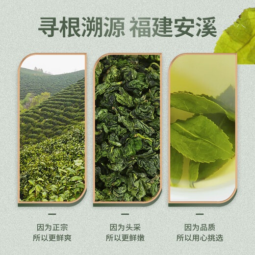 Tieguanyin 2025 Neuer Tee, authentischer Fujian Anxi Oolong-Tee, Orchidee, starker Duft, echtes Selbstgetränk, Orchideenduft in Dosen, Tieguanyin, 150 g