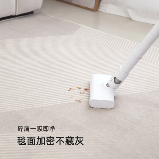 Stopp-Teppich Wohnzimmer 2024 Neues leichter Luxus-High-End-Sofa-Bodenmatte ohne Waschen und löschbares Haushalt wasserdichtes Schlafzimmer Dicke Tianjin Qingqiang-13566 180 cm*250 cm [keine Pflege]