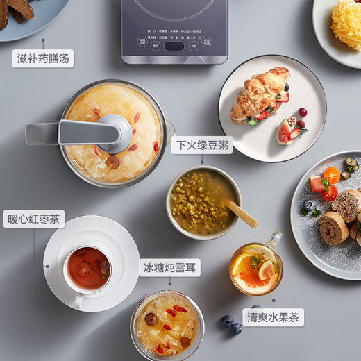 SUPOR 1.5L Health Pot Hot Water Kettle Tea Boiler Tea Kettle Electric Kettle Constant Temperature Kettle 316L Stainless Steel Insulated Flower Tea Kettle with Filter SW-15YJ30A