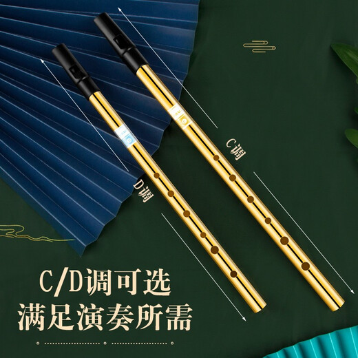 DBAO Irish Whistle Flute Flute Beginners Professional Playing Treble Recorder Musical Instruments for Primary School Students [DBAO Alloy] Black C-Tun + Giveaway