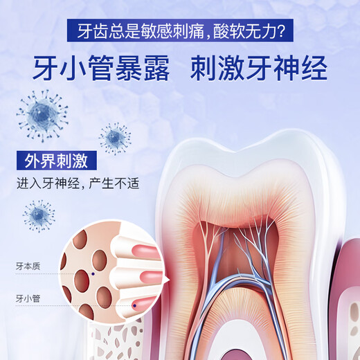 舒客牙膏益生菌去烟渍清新口气女生深度清洁牙齿去黄美白去渍 【早清新晚抗敏】双效牙膏2支装