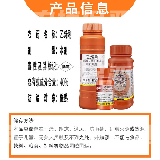 Guoguang 40% ethephon ripening agent tomato cotton persimmon rice banana mango rubber tree ripening and yield increasing regulator 1000g*1