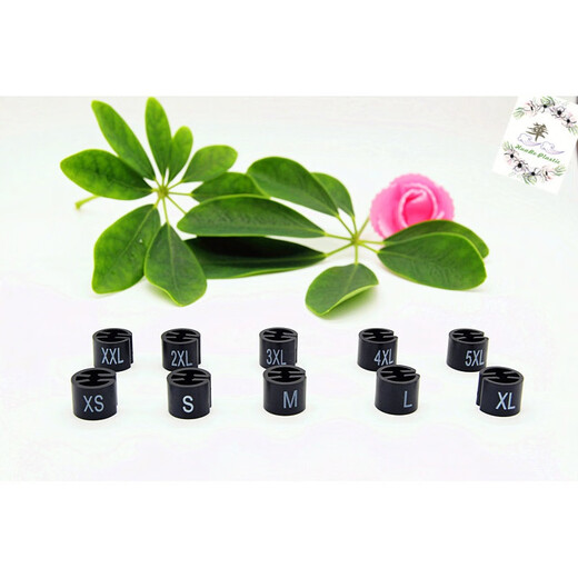 Xizan Plastic Size Ring Round Four-Tooth Non-Print Size Marker Hanger Buckle Colorful Size Buckle Blue Official Standard