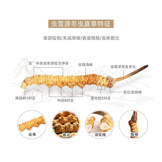 
Luzhangtang Authentic Cordyceps sinensis fine Cordyceps broken grass authentic big cordyceps dry goods buy 10 pieces free 1 piece bulk authentic Tibet Nagqu whole meat strips 1 gram (1 gram pack)