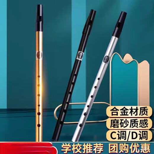 皇仕爱尔兰哨笛初学者入门金属笛子6孔C调D调高低音直笛课堂竖笛乐器 6孔哨笛合金材质D调【优雅银】