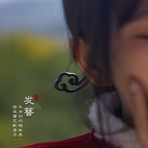 Lingchuan Tianzhi ebony ancient style hairpin simple new Chinese style wooden hairpin main body wholesale hairpin 17049-1-bamboo style ebony