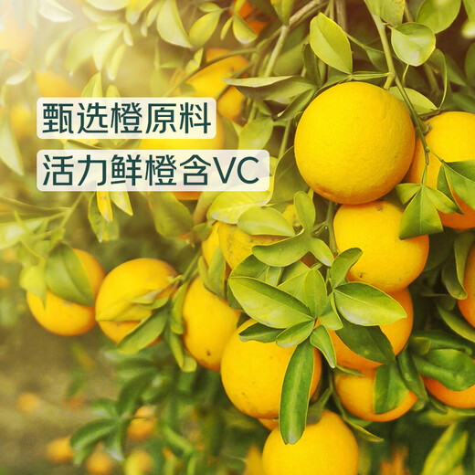 Qixian 100% orange juice 1L