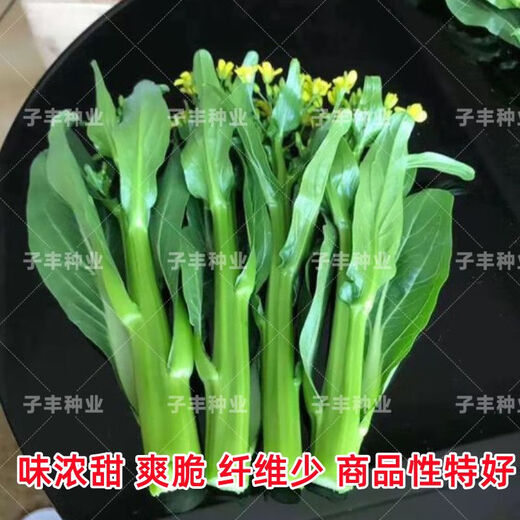 Guangzhou Qiannong Academy of Agricultural Sciences Youlu 702 cabbage heart vegetable seeds autumn winter spring high yield beet core seeds Youlu 70 days cabbage heart 200g medium mature pointed leaves 1 bag