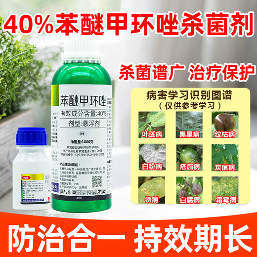 Donghe Biotech 40% difenoconazole leaf spot disease powdery rust fruit tree vegetable flower fungicide pesticide anthracnose 50g