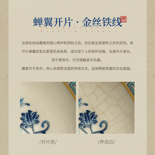 Not clumsy tea set complete set of Kung Fu tea set for home living room high-end blue and white porcelain Ru kiln covered bowl 9-piece tea set