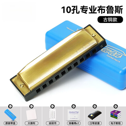 语森忆口琴初学者学生24孔入门儿童复音成人重音C调口风琴乐器 【10孔布鲁斯】古铜色+