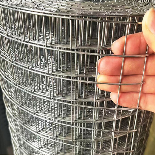 Zhongji Wanxing hot-dip galvanized wire mesh steel wire mesh breeding mesh anti-rust window sealing balcony wire mesh chicken pigeon rabbit cage anti-rat and snake fence 1 meter high 1.6 cm hole 0.7mm thick 10 meters long