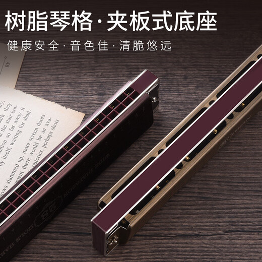 天鹅德国进口音簧高端28孔复音重音口琴初学者成人专业演奏级乐器 28孔 专业演奏复音C调 浅木色 【带音标】+礼包