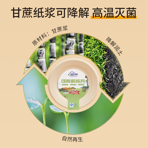Blue natural disposable tableware plate large 8-inch 40-pack sugar cane pulp biodegradable paper plate picnic camping