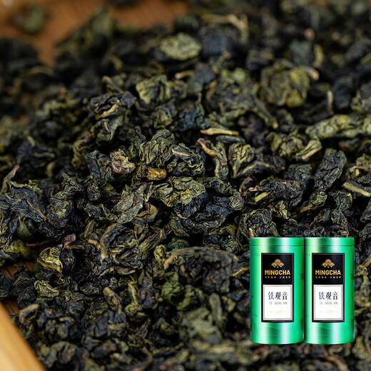 杨昌号正宗安溪铁观音乌龙茶浓香型茶叶新茶兰花香礼盒装送礼自己喝 铁观音（单罐装250g）