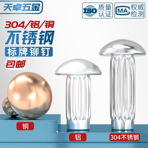 Tianzhuo Hardware GB827 stainless steel 304 sign rivets aluminum knurled nameplate copper trademark solid rivets M2M2.5M3M4M5mm M2*6 300 pieces copper