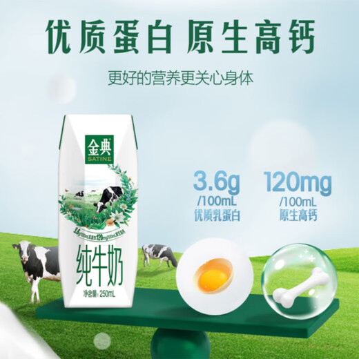 Yili Jindian pure milk full box 250ml*16 boxes 3.6g milk protein gift box