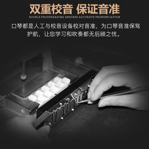 
Guoguang high-end harmonica German imported gong 28-hole polyphonic harmonica 24-hole stress adult beginner professional performance 28-hole stress C-tuning [gift high-end gift]