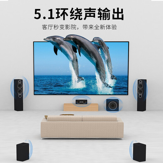LDZS 新款家用5.1声道蓝牙功放机大功率多功能专业AV超重低音K歌Hifi家庭影院KTV功放设备 388双环牛功放机蓝牙版