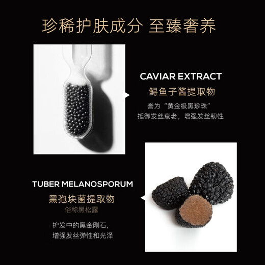 Windsor Forest Forvil Silky Gloss Black Trüffel Shampoo Ölkontrolle flauschiger sanfter nahrhafter Waschsatz