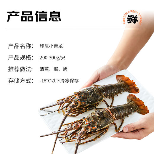 Mr. Fish Seller Indonesian live frozen blue lobster 200-300g/piece Extra large lobster Hualong seafood water produces fresh shrimp