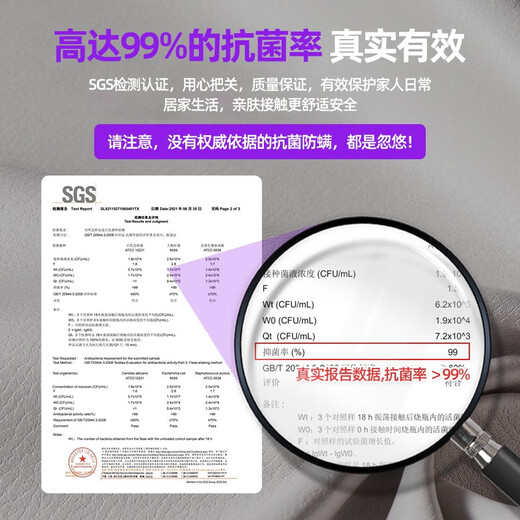 冬熊 国民家居科技布床高箱落地双人床简约主卧轻奢羽绒软包大象耳朵 YJ9221科技绒布床/松木排骨架 1800mm*2000mm  框架结构