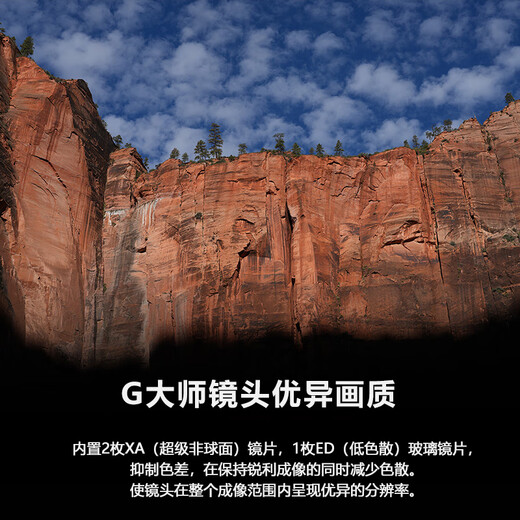 Sony (SONY) Guaranteed Price 11.11 FE 50mm F1.4 GM Full-frame Large Aperture Fixed Focus G Master Lens for Portrait Photography (SEL50F14GM)