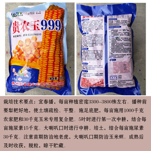 稻玉丰农业贵农玉999大棒品质好白轴籽粒深偏硬粒型优质玉米种子 贵农玉999玉米种子     5袋 4斤装/袋