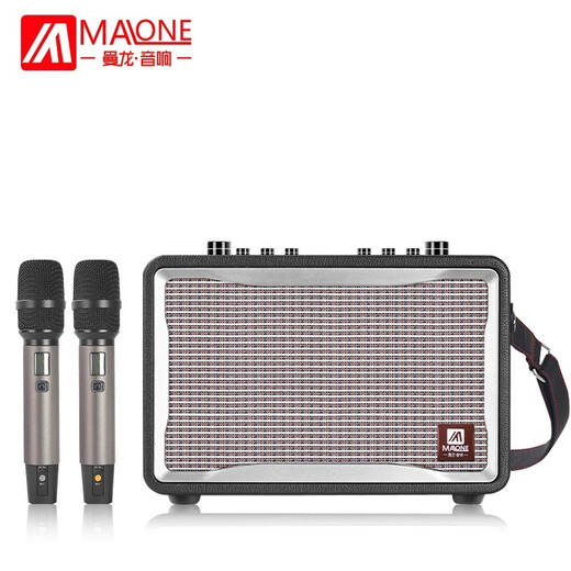 MALONE portable Bluetooth karaoke audio outdoor square dance live broadcast with sound card microphone guitar playing and singing performance speaker amplifier GT-001 (450W) + dual microphone + gift flagship version