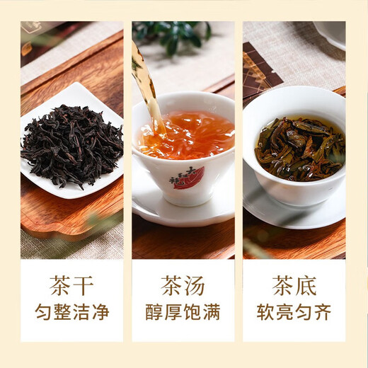 曦瓜乌龙茶曦和武夷岩茶老枞水仙504g 中火商务礼盒装口粮茶