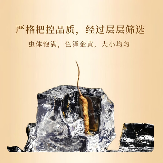 Cordyceps gift box selection of high-altitude Cordyceps unbroken grass high quality gifts for self-eating nourishing and health care Tibet Nagqu Cordyceps 0.6g each piece is 30 pieces