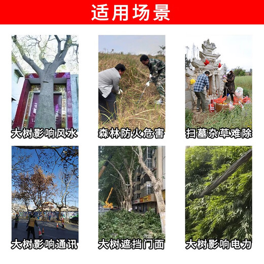 Land reclamation hoe cyclozinone herbicide removes bamboo rotten roots type strong removal of big tree rotten roots special rotten root medicine herbicide cyclozinone 5 packs