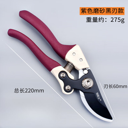 麦舒特德国精工果树剪树枝专用剪刀粗枝花剪修枝剪家用园艺省力修花 紫色