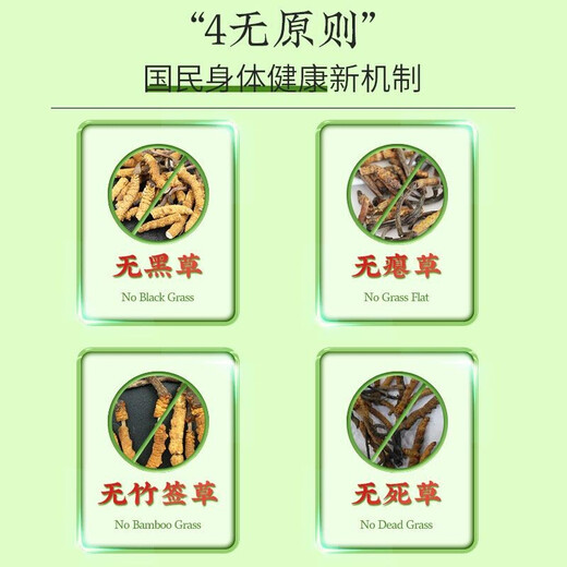 色季拉 冬虫夏草新干虫草滋补送礼佳品礼盒装 3根/g【10克装】