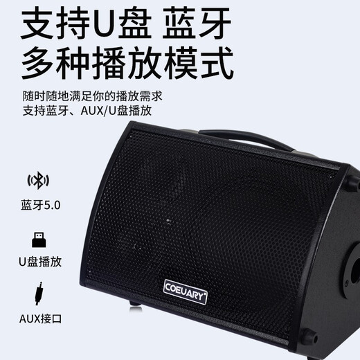 Coeuary Folk Guitar Singing Speaker Street Singing Live Electric Box Acoustic Guitar Bluetooth Speaker Saxophone Rechargeable Audio 8-inch 100W/Rechargeable/With Bluetooth/Live Broadcast Package 1 Gift Pack