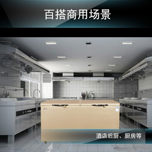 白雪金色数显温控商用家用卧式大冷柜 620-1050升冷冻冷藏展示柜 大容量高效制冷节能环保冰箱 850FDU【铜管五年内漏换新】 850L