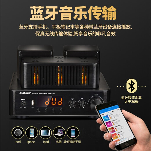 Singular (Qisheng) Rohrlautsprecher, HIFI-Kombinationslautsprecher, elektronischer Rohrrohrrohrverstärker, Fiebersprecher, Desktop-Lautsprecher, F-10-Rohrlautsprecher, keine Fernbedienung [kein Lautsprecher]