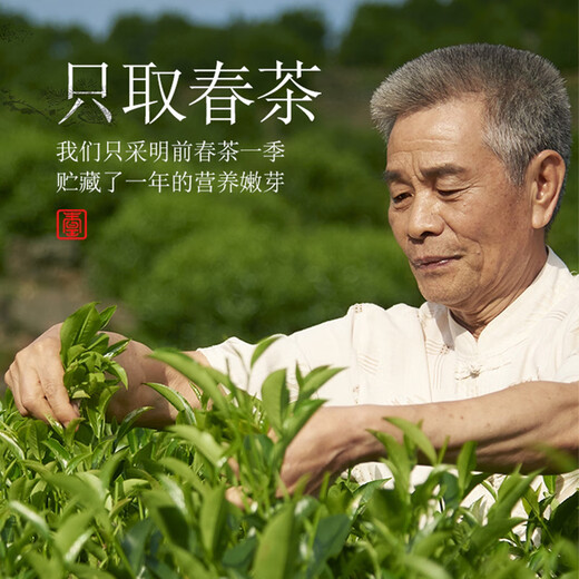 宋凰乌龙茶新宫玺24罐凤凰单丛单枞鸭屎香特级144g中火茶叶礼盒茶礼