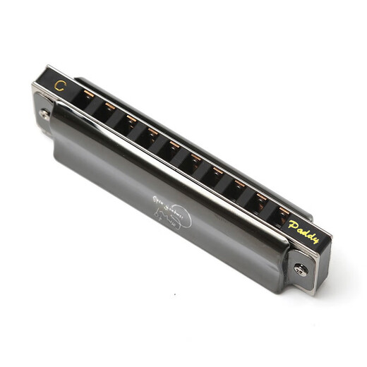 Swan (SWAN) 10-hole blues paddy scale harmonica for children and adults professional playing harmonica black