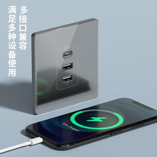 国际电工86型USB插座面板暗装墙壁手机智能充电多口Type-c插座20W快充家用 白色双USB+Type-C【快充20W】