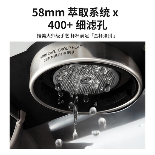柏翠（petrus）PE3899意式咖啡机全半自动家用奶泡机研磨一体机小型双泵牛角手柄 咖啡机PE3899+制冰机IC08套装